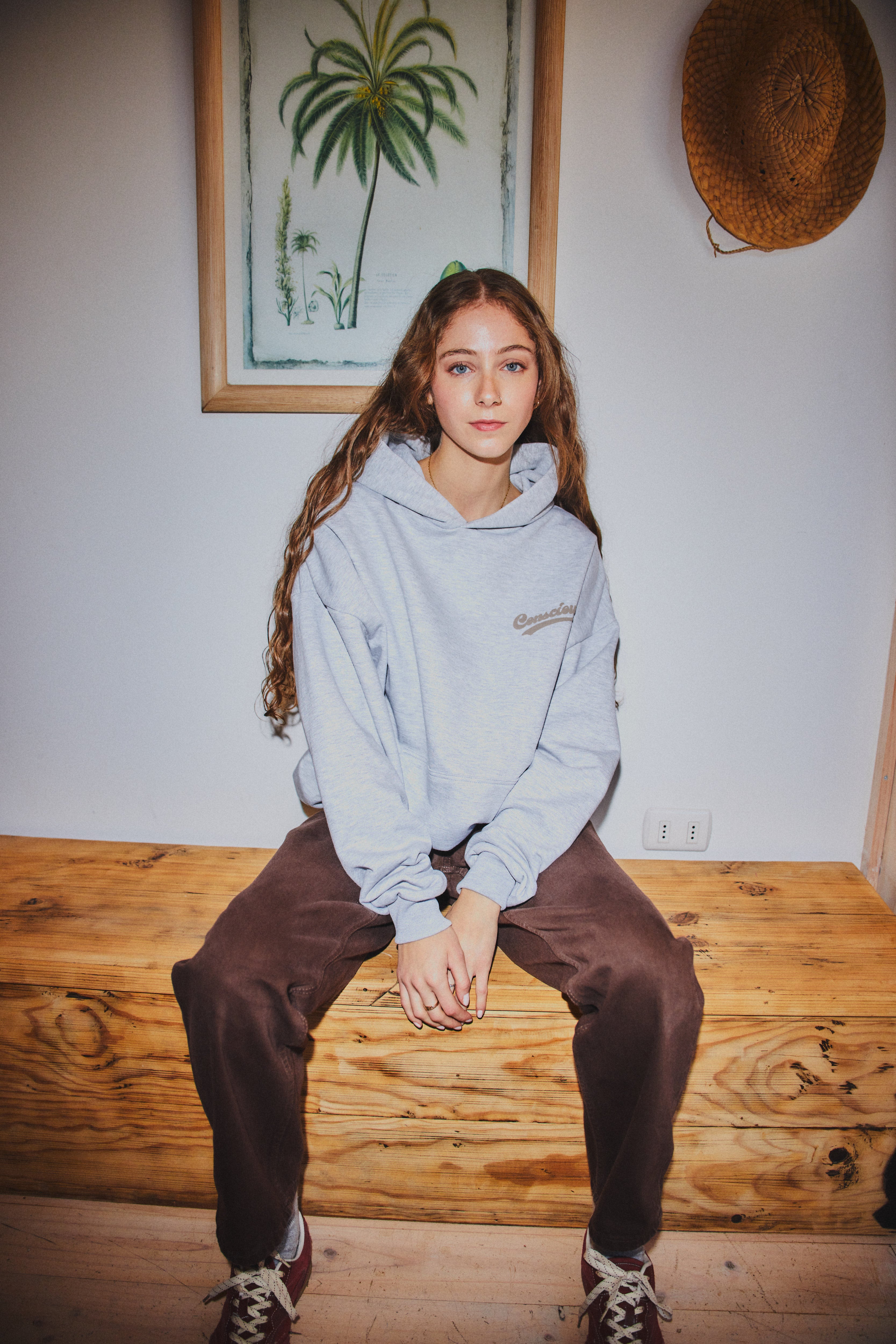 HOODIE CONS ® STONE GRAY