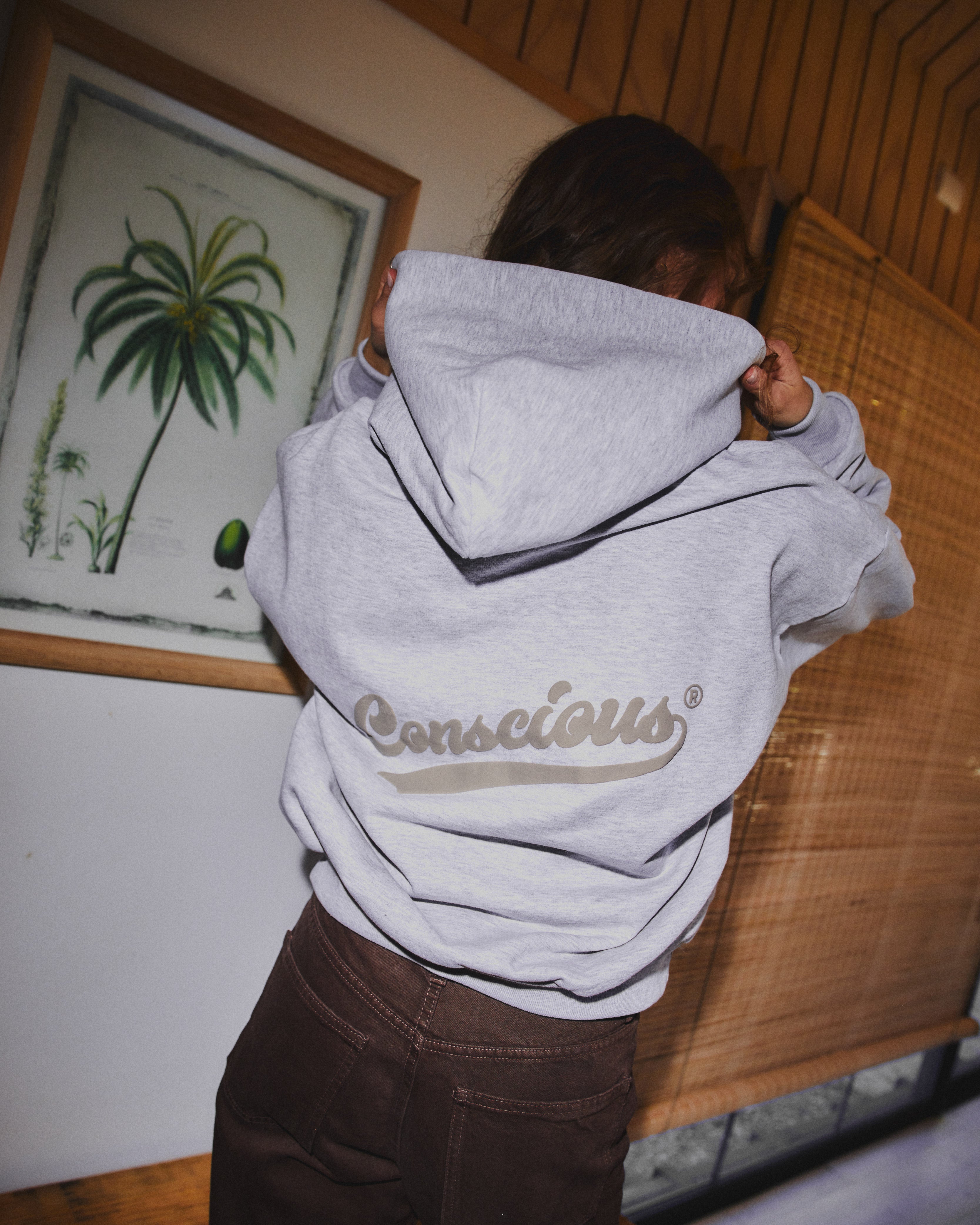 HOODIE CONS ® STONE GRAY