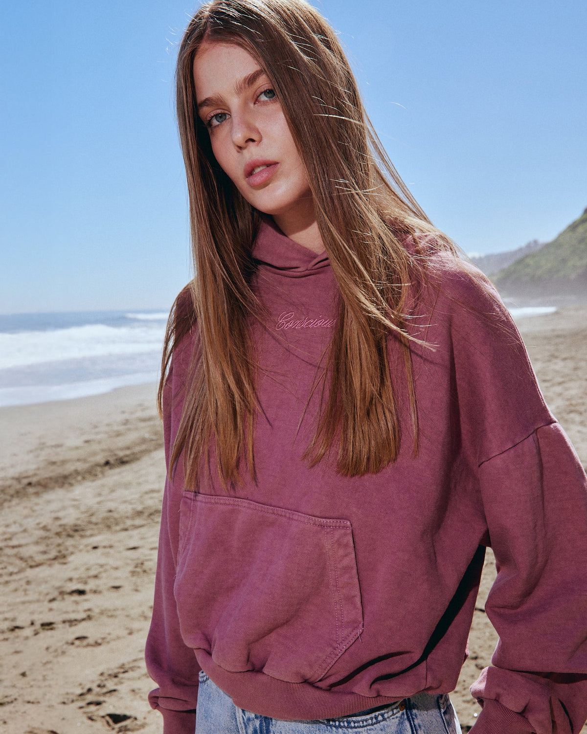 HOODIE STILL WASH MALVA