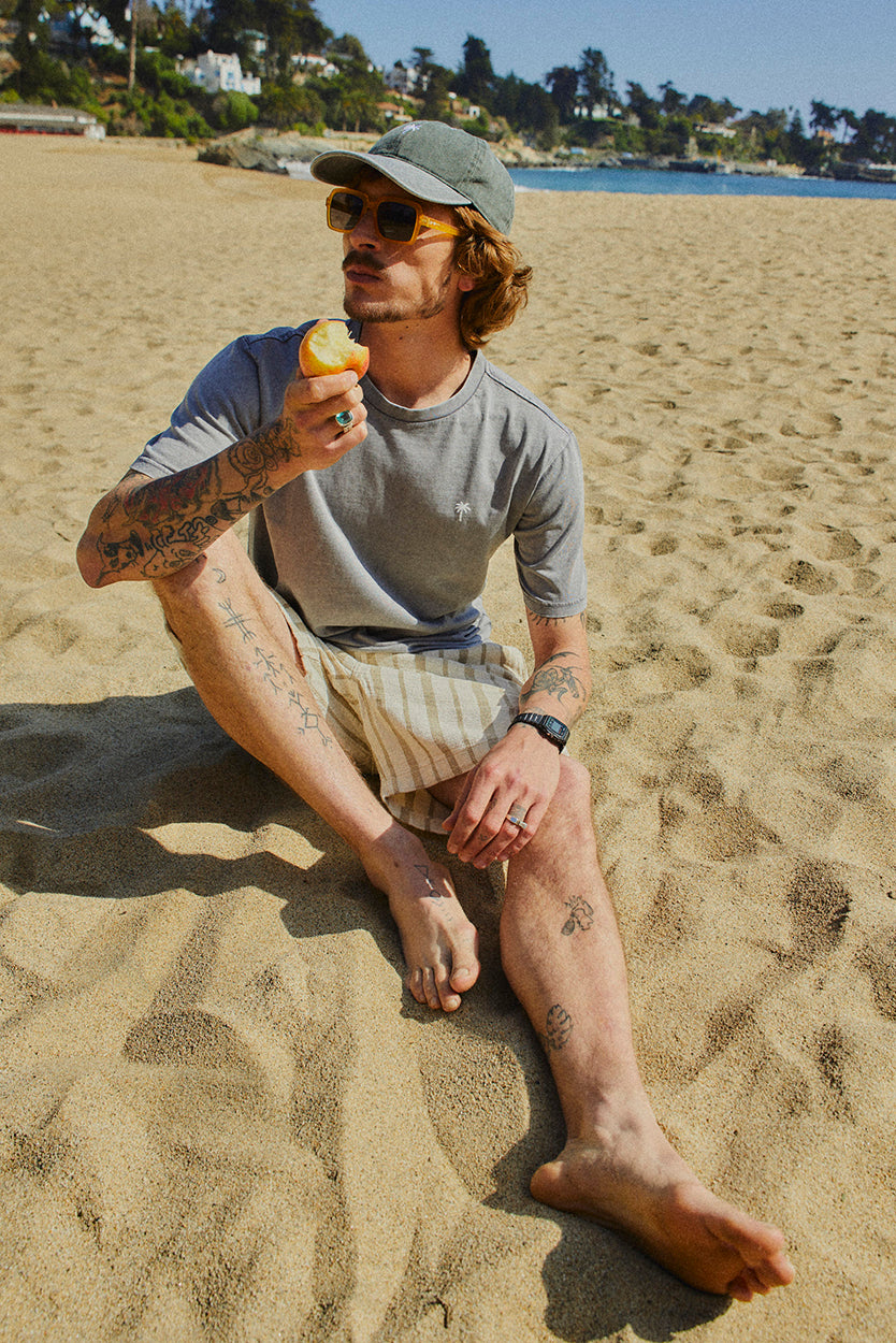 POLERA PALM TREE ACID WASH GRAY ♂