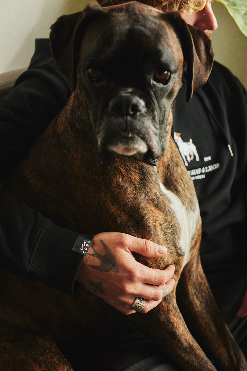 HOODIE TRUE LOVE DOG BLACK ♂